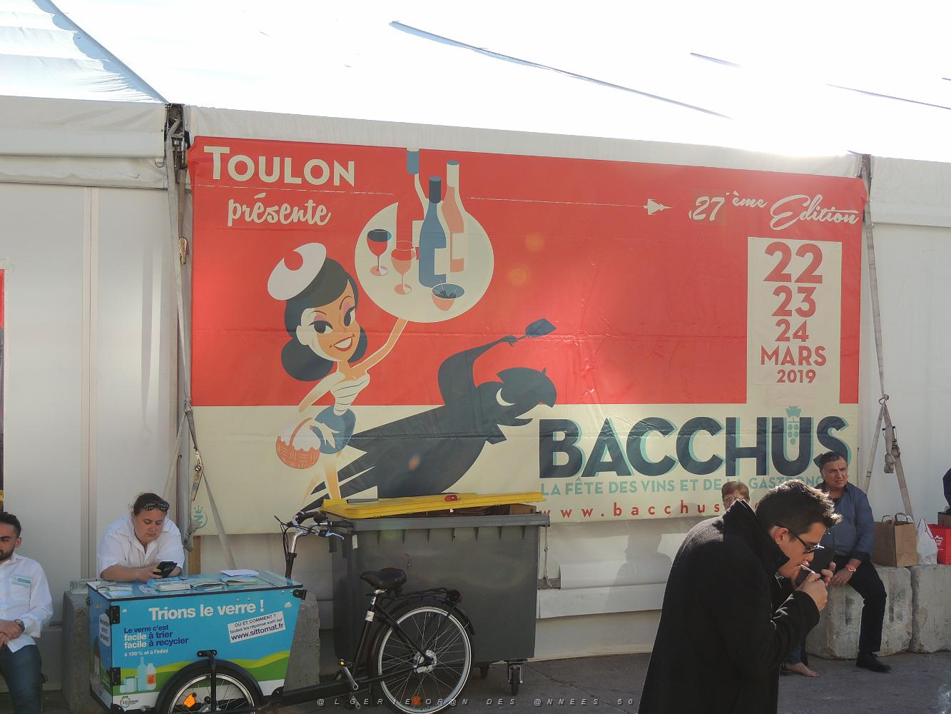 Toulon Bacchus 2019 (42).JPG -           